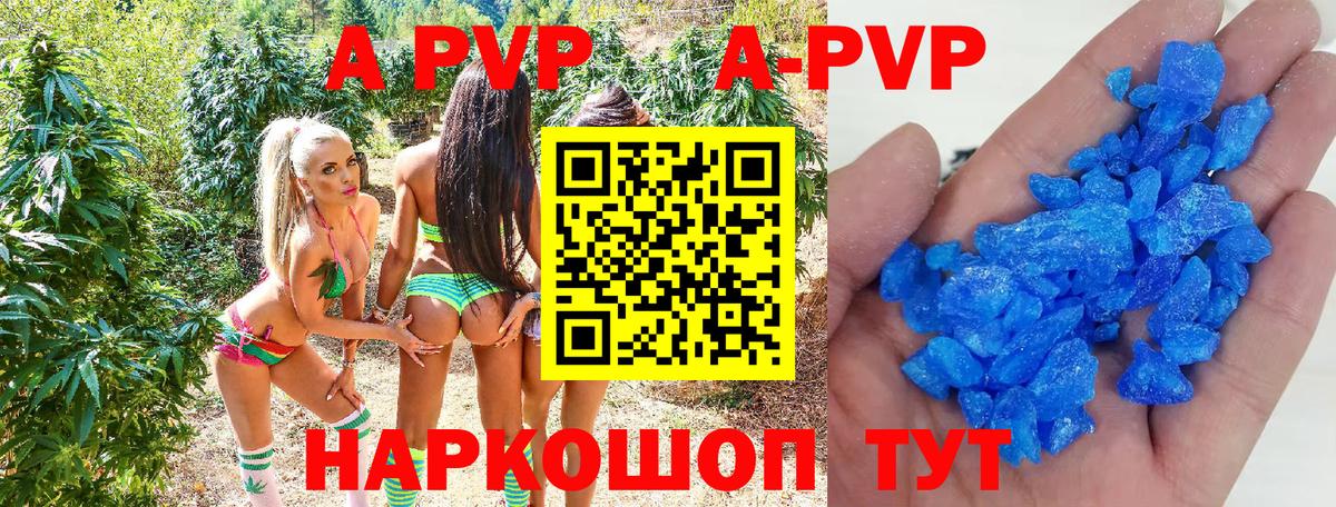 A PVP СК КРИС Тара