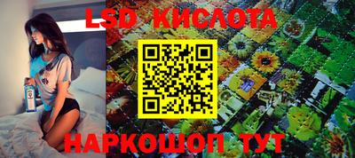 прущие грибы Можга