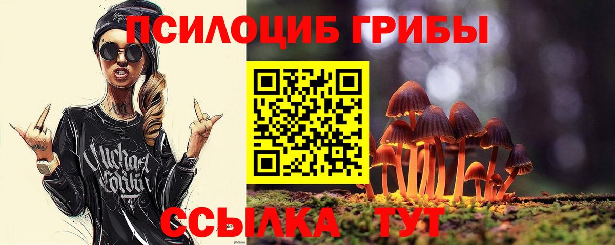 хочу наркоту  Галлюциногенные грибы MAGIC MUSHROOMS  Вход с VPN  Тара 
