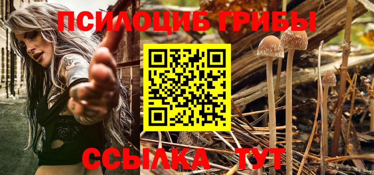 Галлюциногенные грибы мухоморы Тара